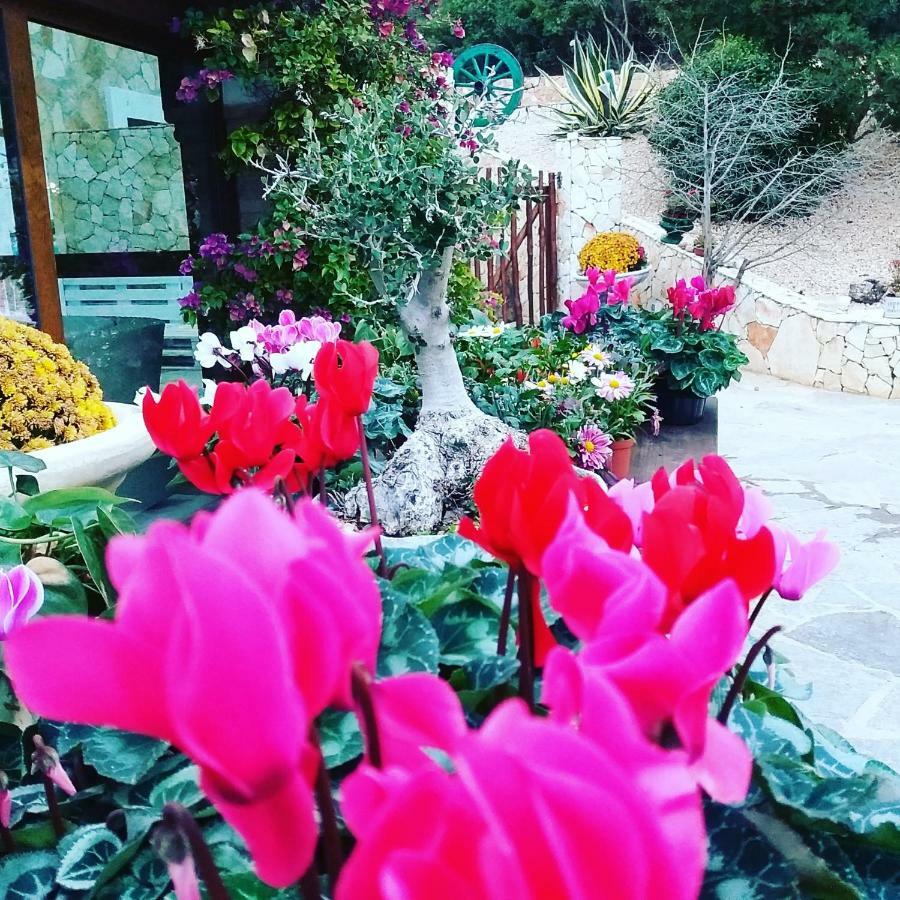 B&B Da Pia Uta Exterior photo